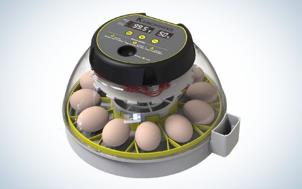 A machine with black motor to work in the middle of it and with a line of eggs near to each other into the low part of egg incubator.