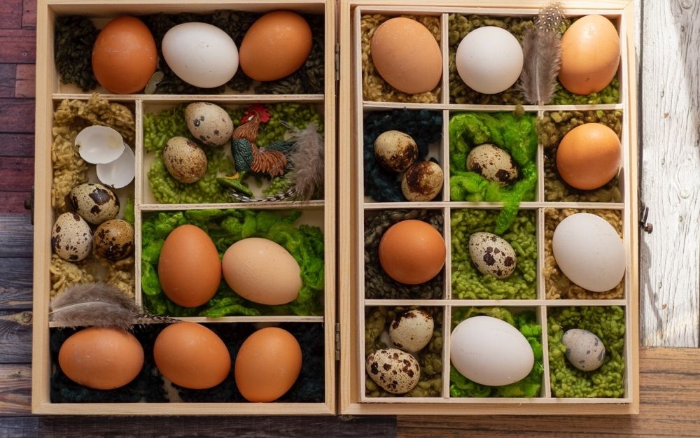 Several different types of egg sizes and colors placed in wooden boxes.