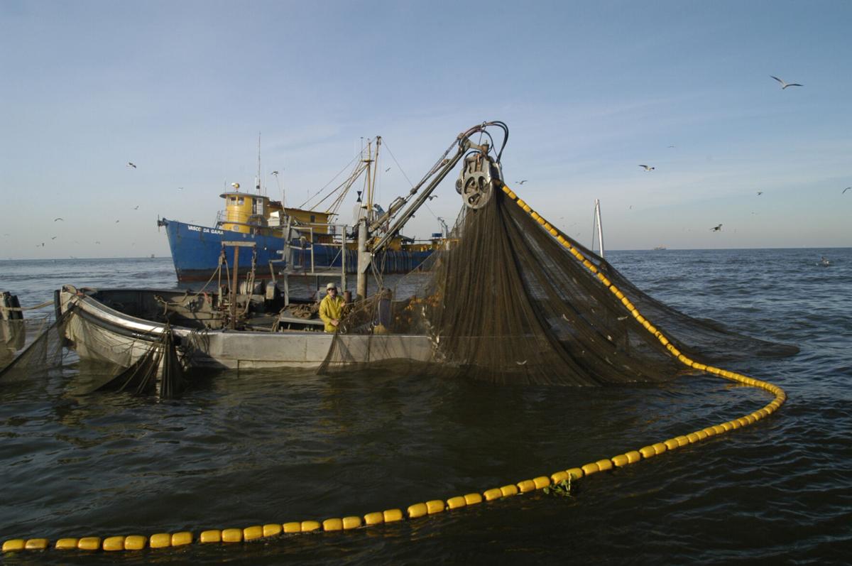 Commercial menhaden ships may be prohibited from fishing half a mile from the Louisiana coast.