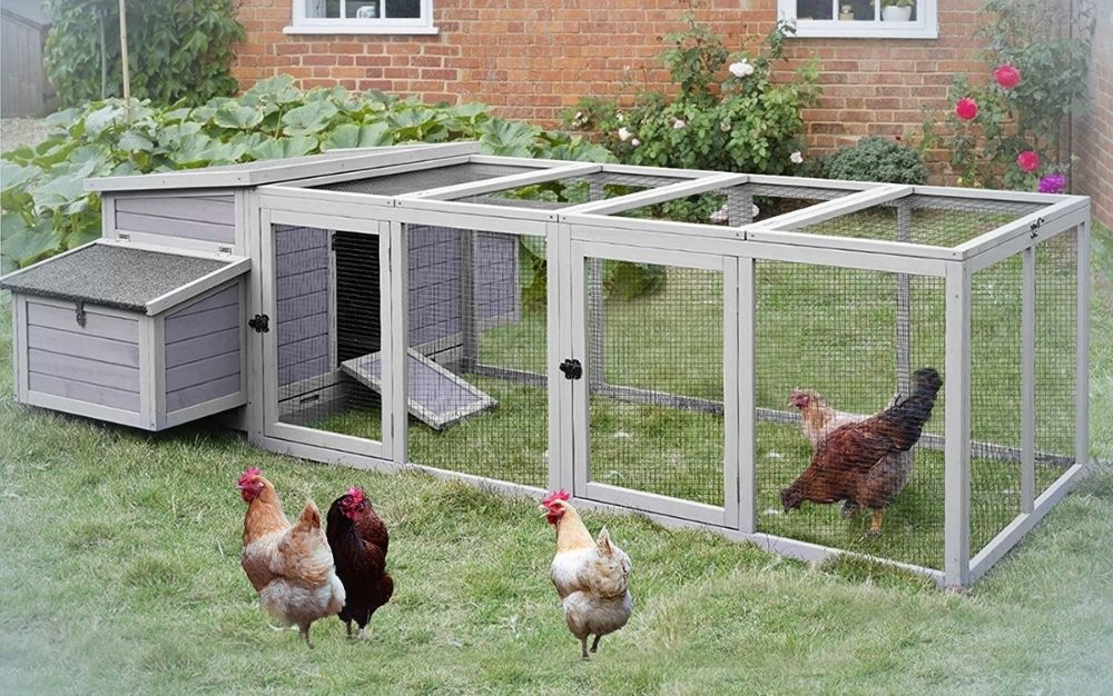Large gray chicken coop with with nest box