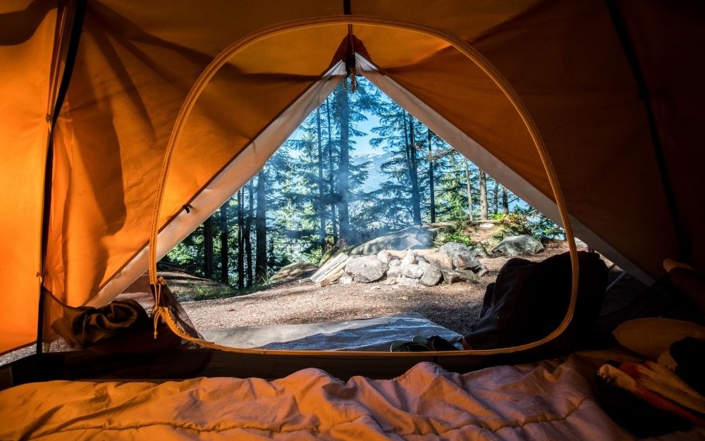 A view of trees from inside a tent with the best sleeping bags inside