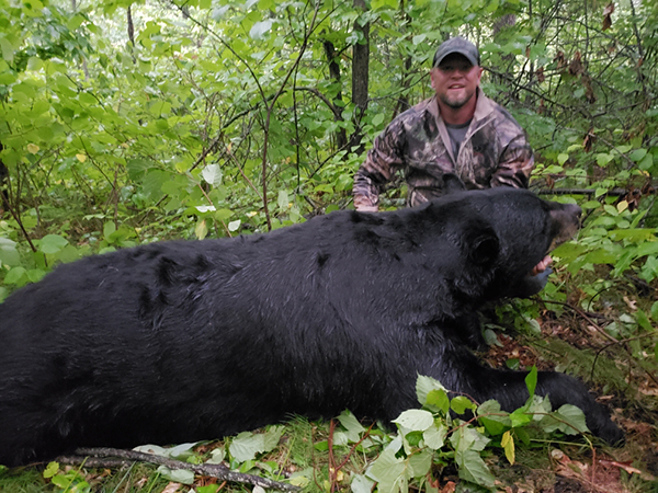 Minnesota man sentenced for illegally killing black bear.