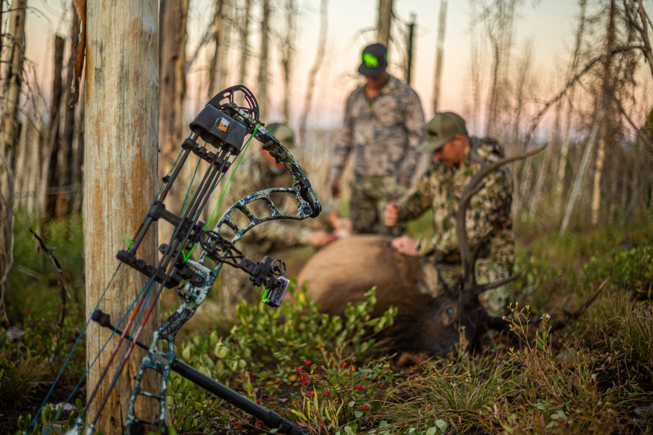 The best way to set up and elk bow.