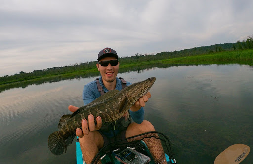 Angler holding up a snakehead