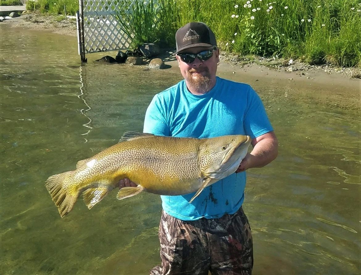The new potential world record tiger trout. 