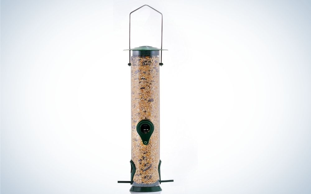 A long thin glass in the shape of a transparent glass cylinder with a black steel holder and inside it with bird food.