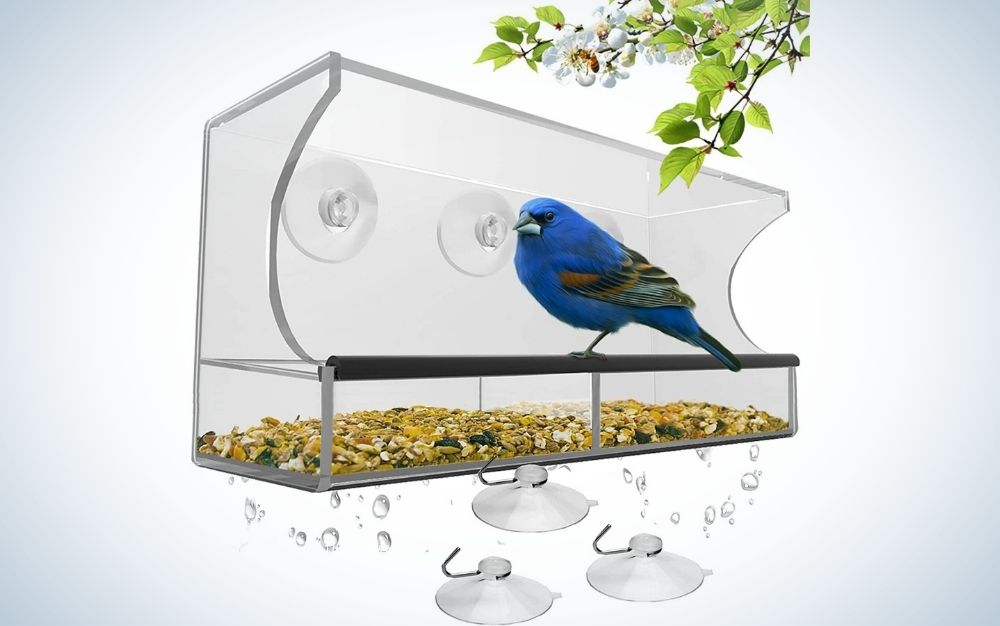 A translucent space that serves for bird food and inside the bird feed and a blue bird as well as three plastic holders for the food box.