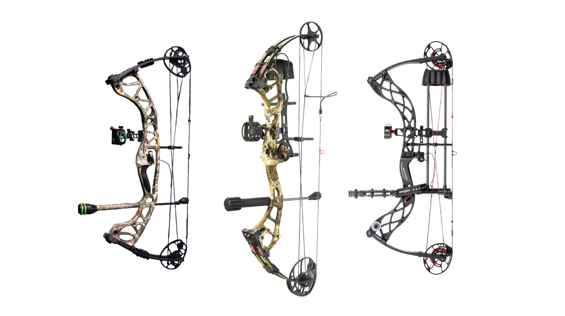 Best bows for the money