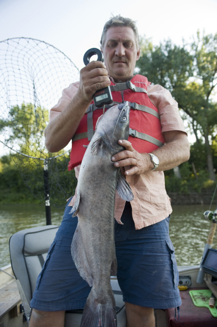 A man wearing a neon orange life jacket, holding in his hands on a boat a large gray fish.