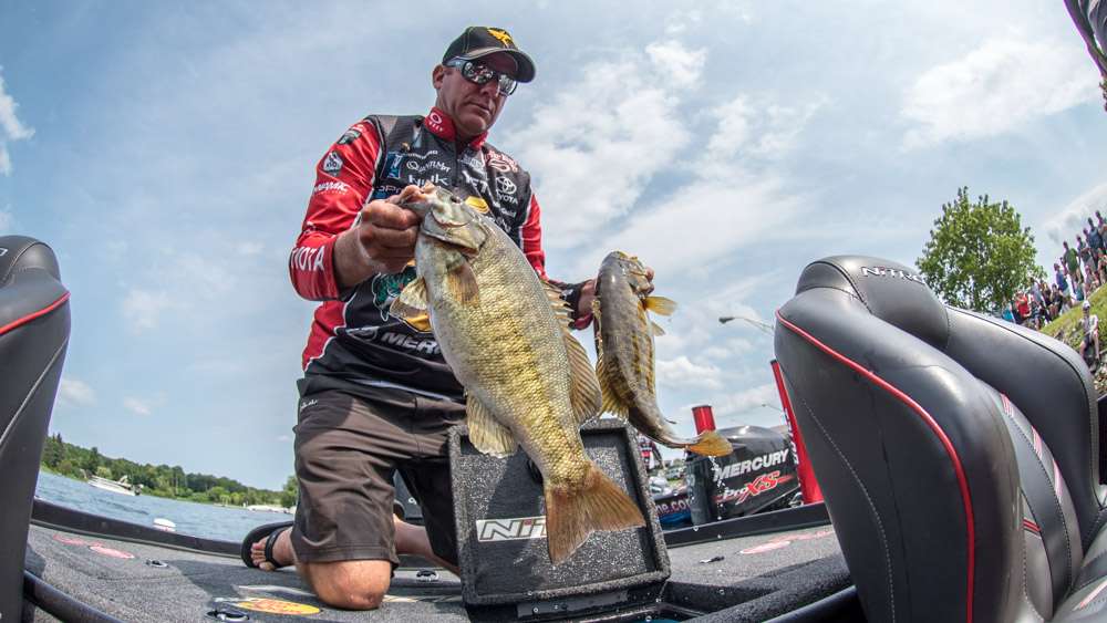 An aerated livewell will help keep bass healthy.