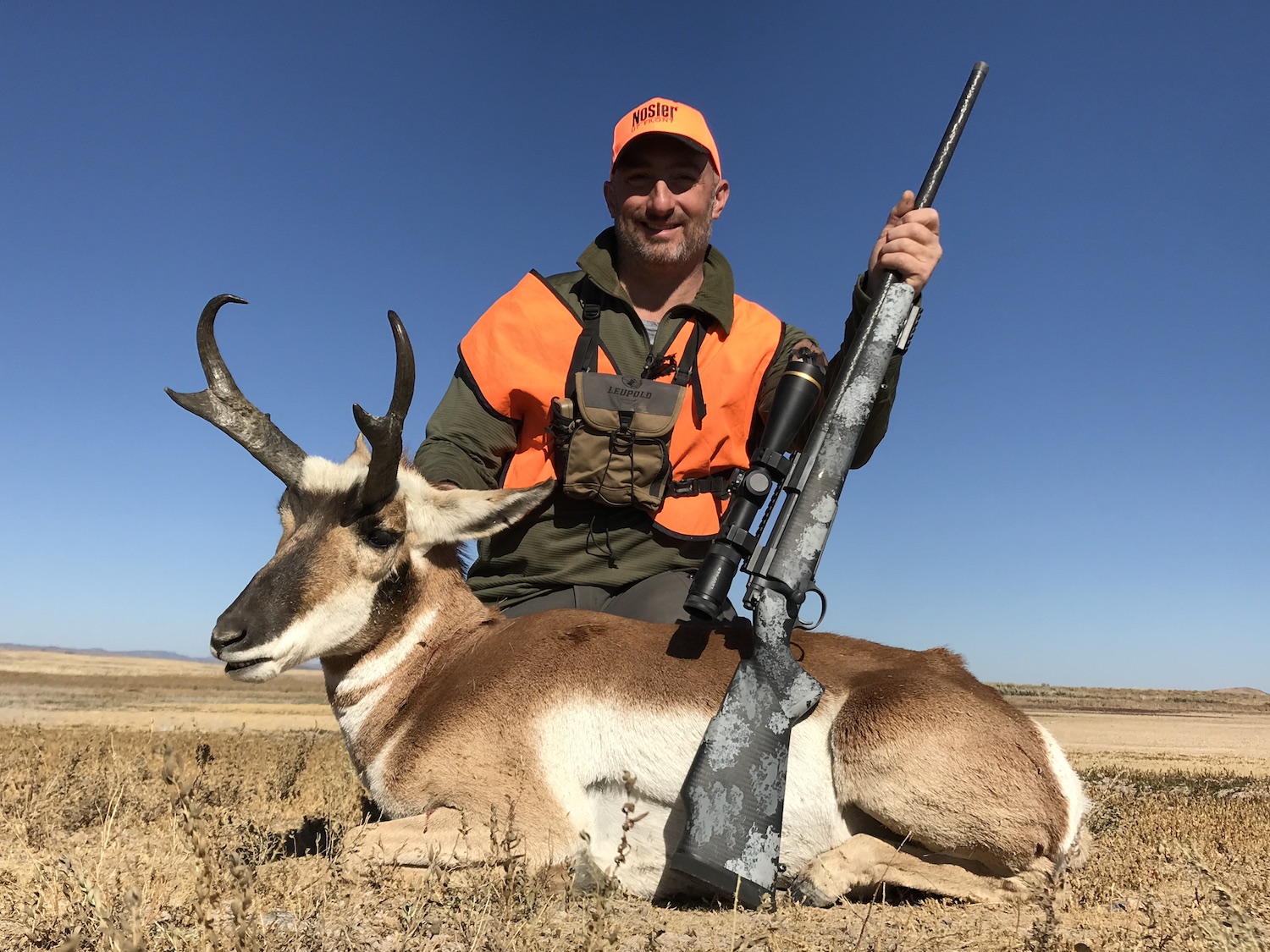 Open country antelope