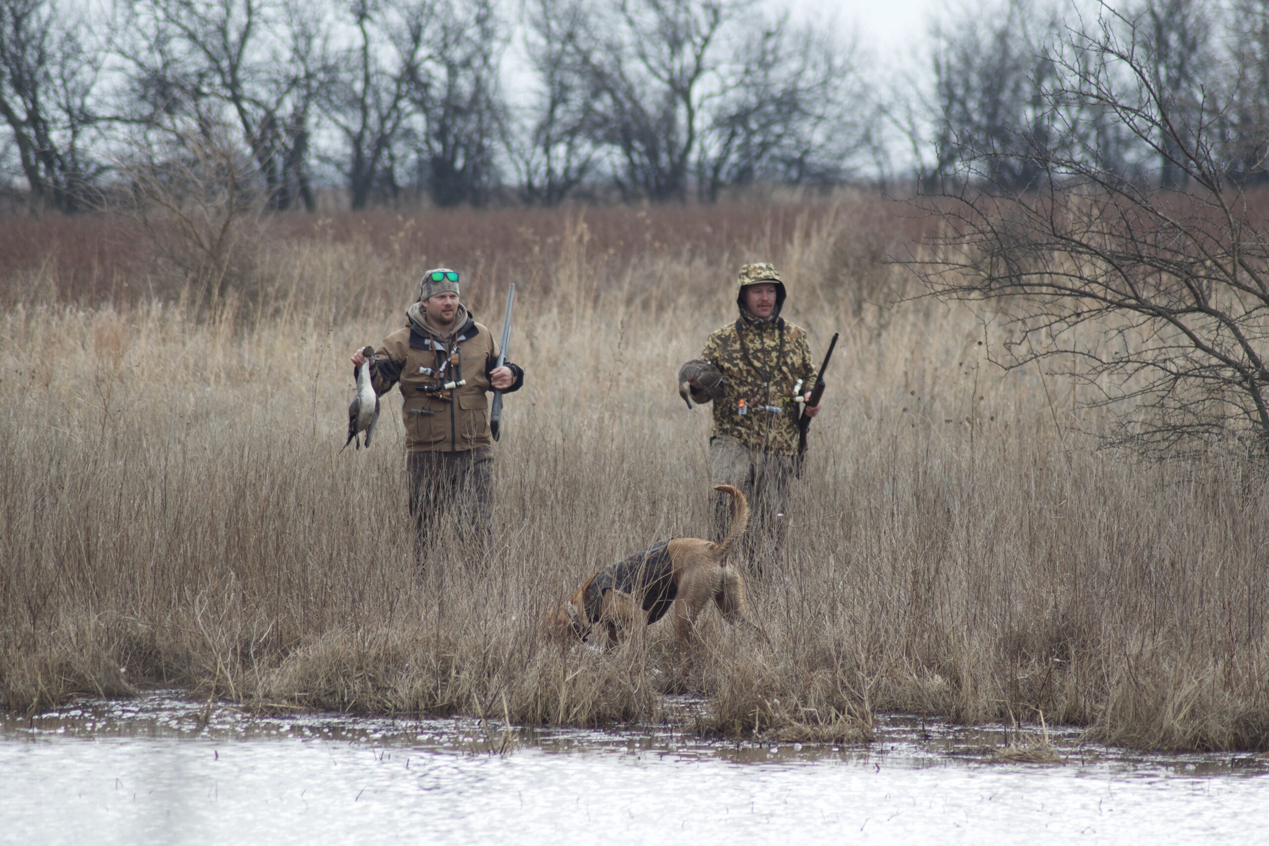 Duck hunters and duck stamp numbers don't add up.