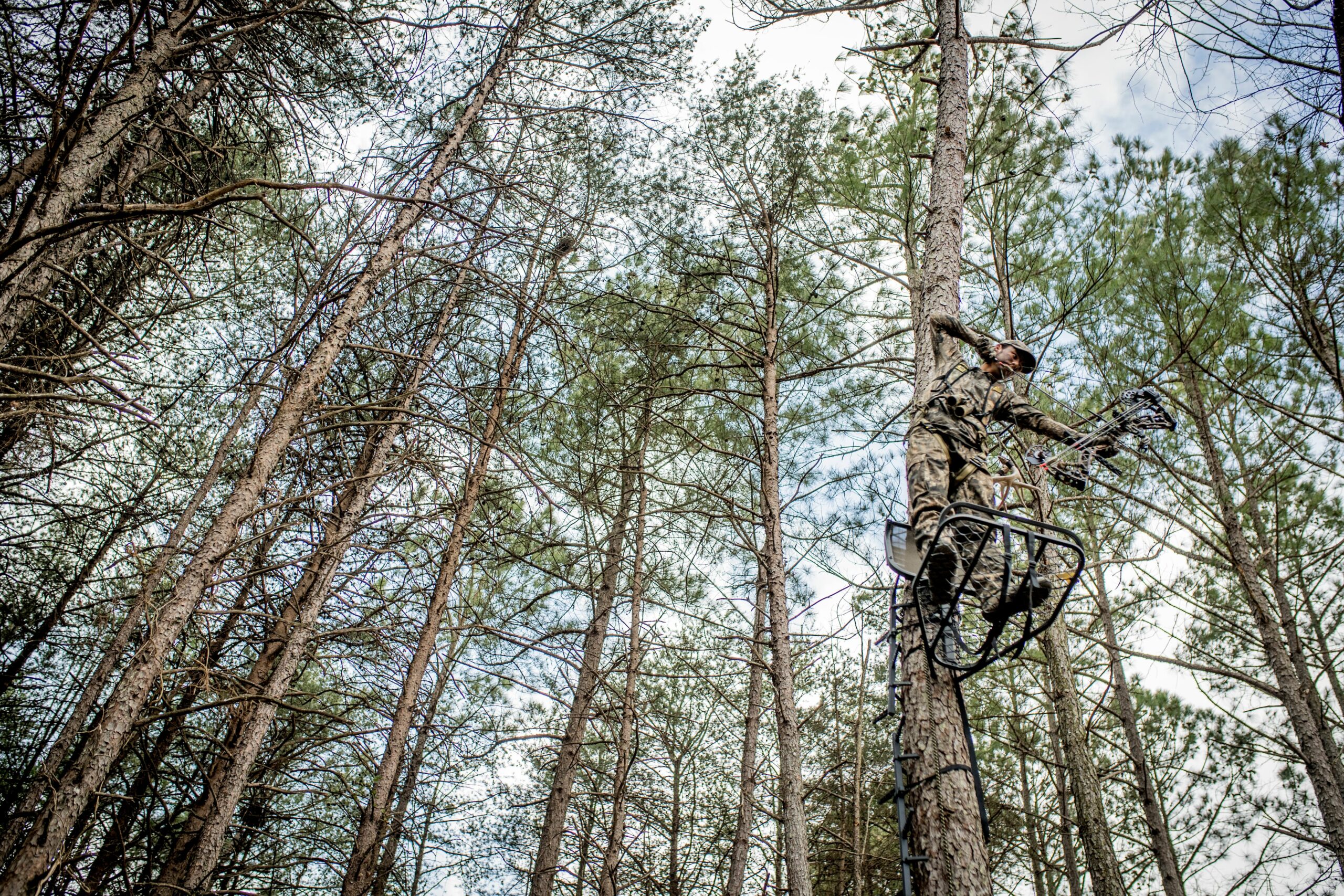 How to Set Treestands in the Best Locations For Bowhunting Season