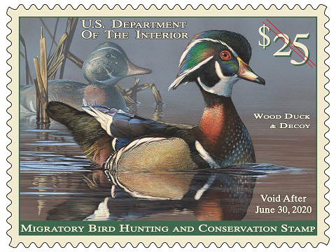 New Federal Duck Stamp artistic guidelines have been adopted by the USFWS.