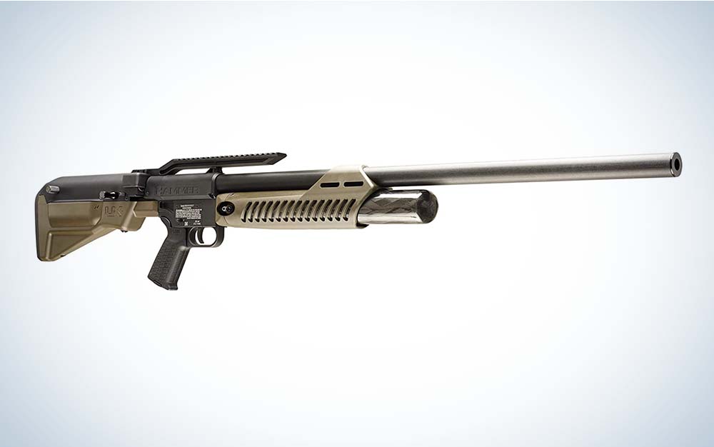 A black and gold Umarex Hammer air rifle