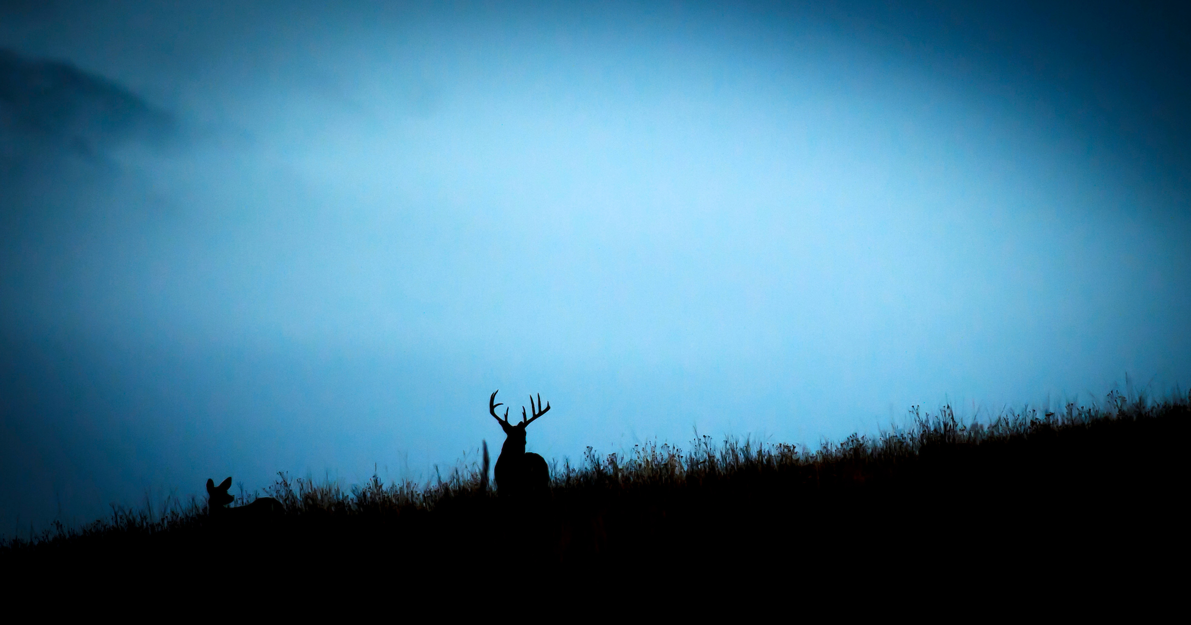 The Best Days to Hunt the 2021 Whitetail Rut, Based on Moon Phases