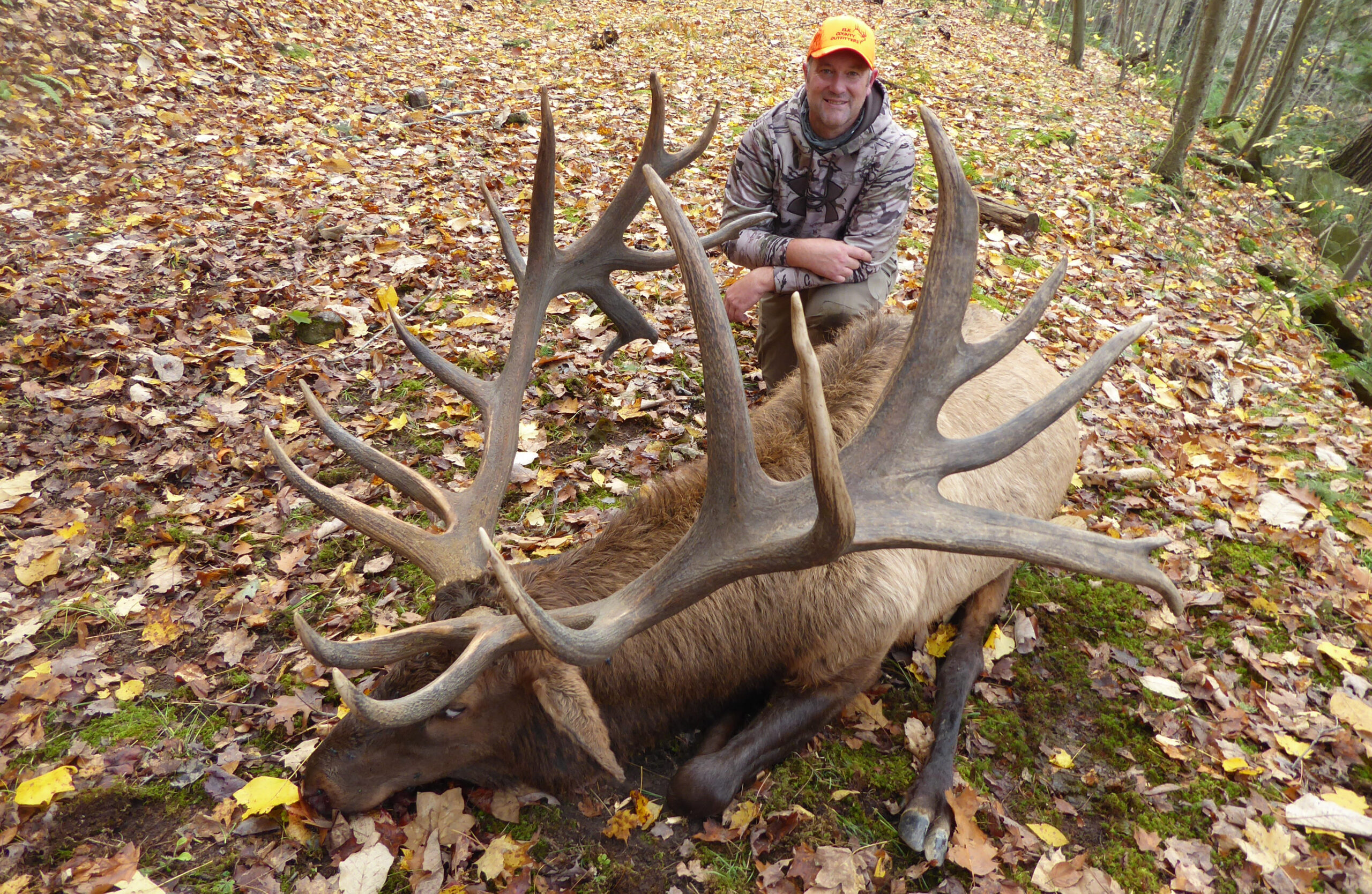 The new possible record Pennsylvania elk.