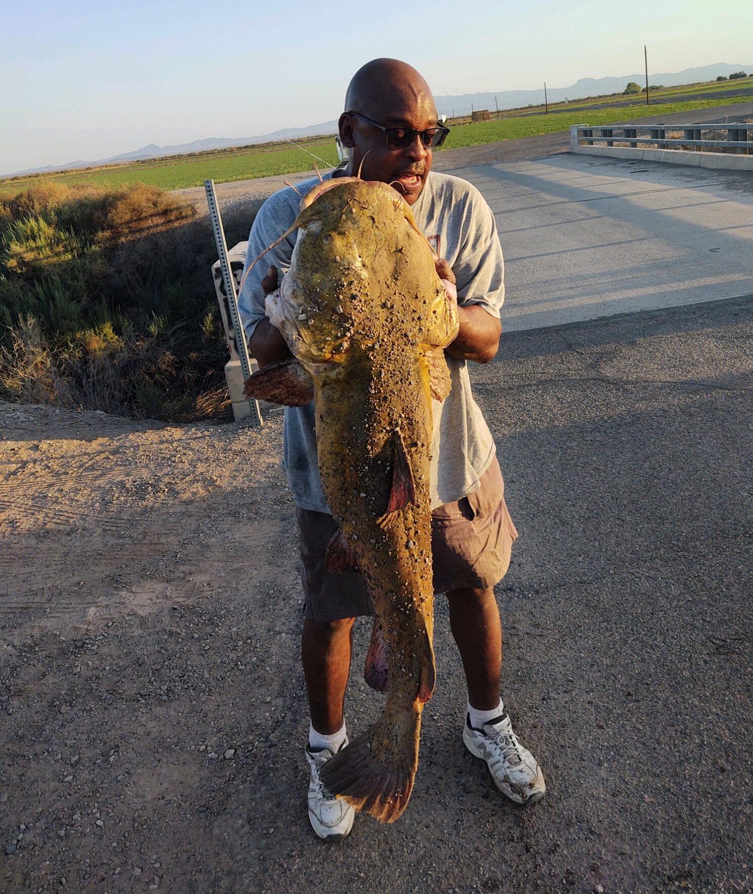 This 80-pound Arizona flathead catfish was cut up for a fish fry.