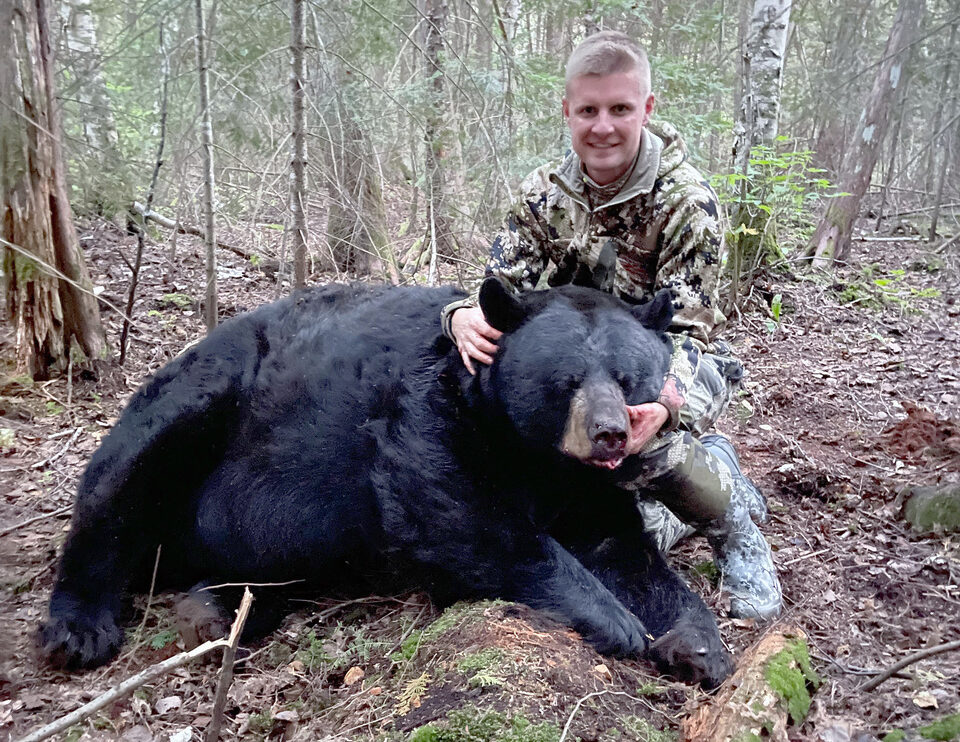 A big, 800-pound Ontario black bear taken by this hunter.