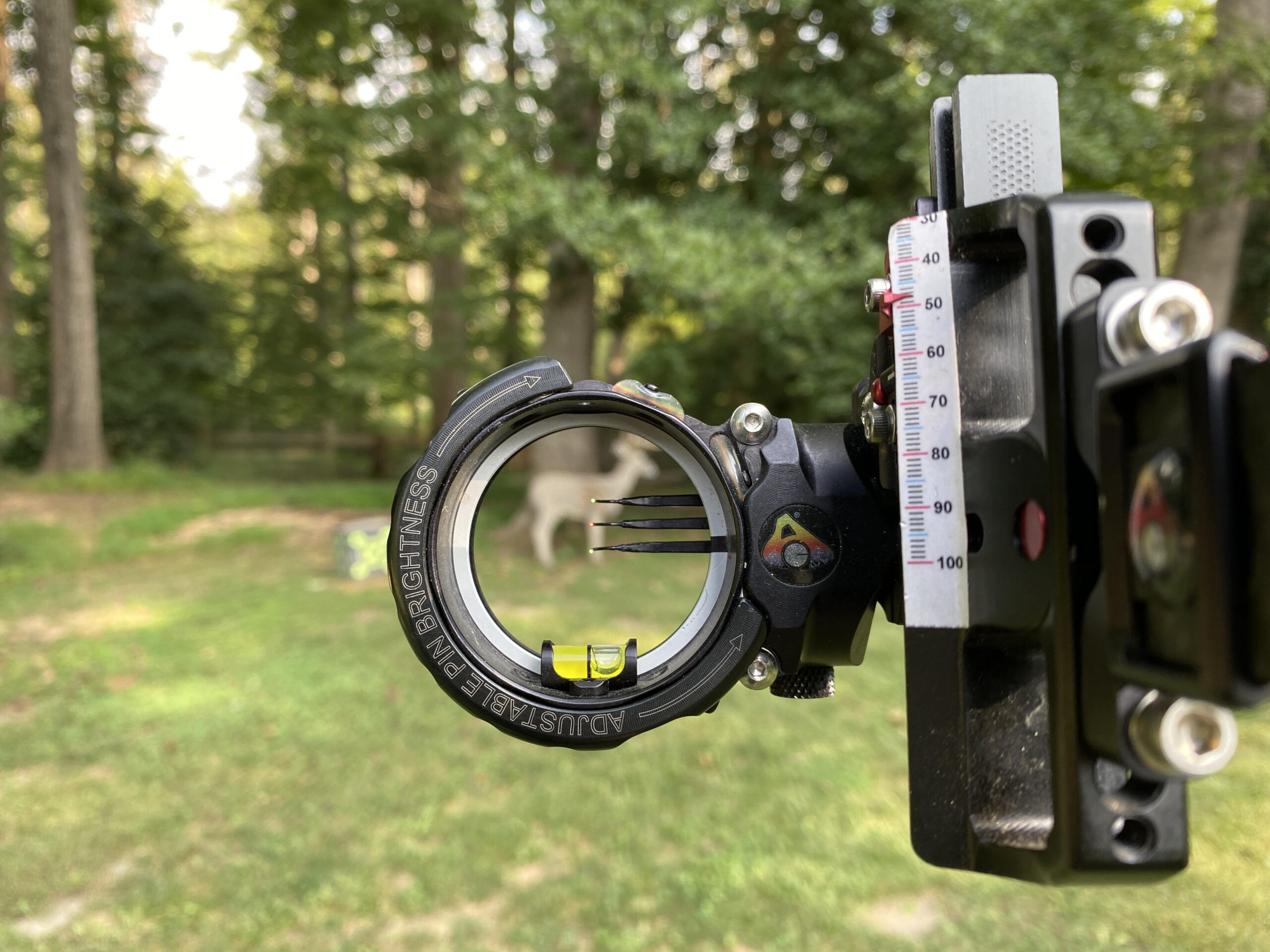 A target pictured through a sight