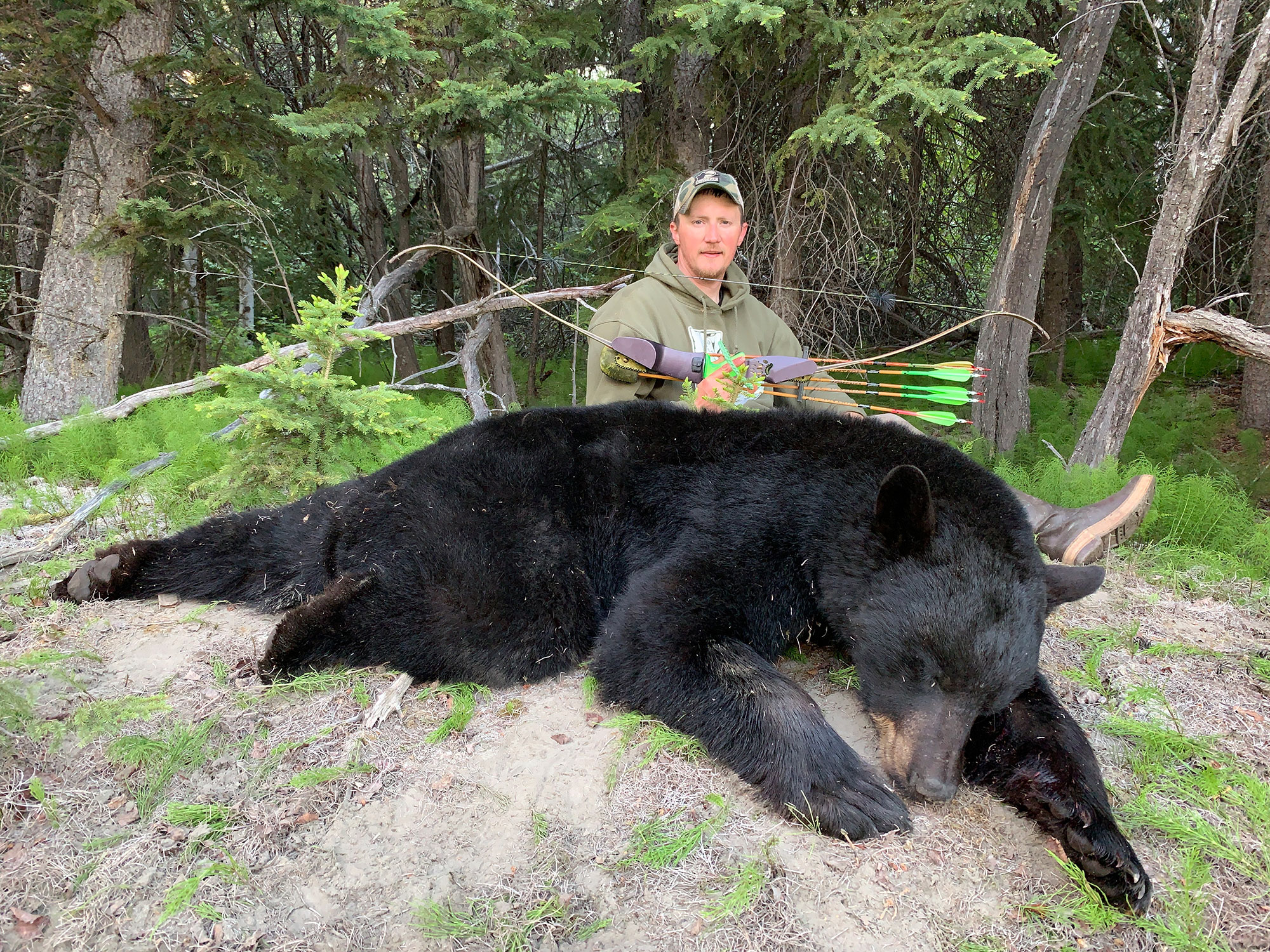 bowhunter on a black bear hunt
