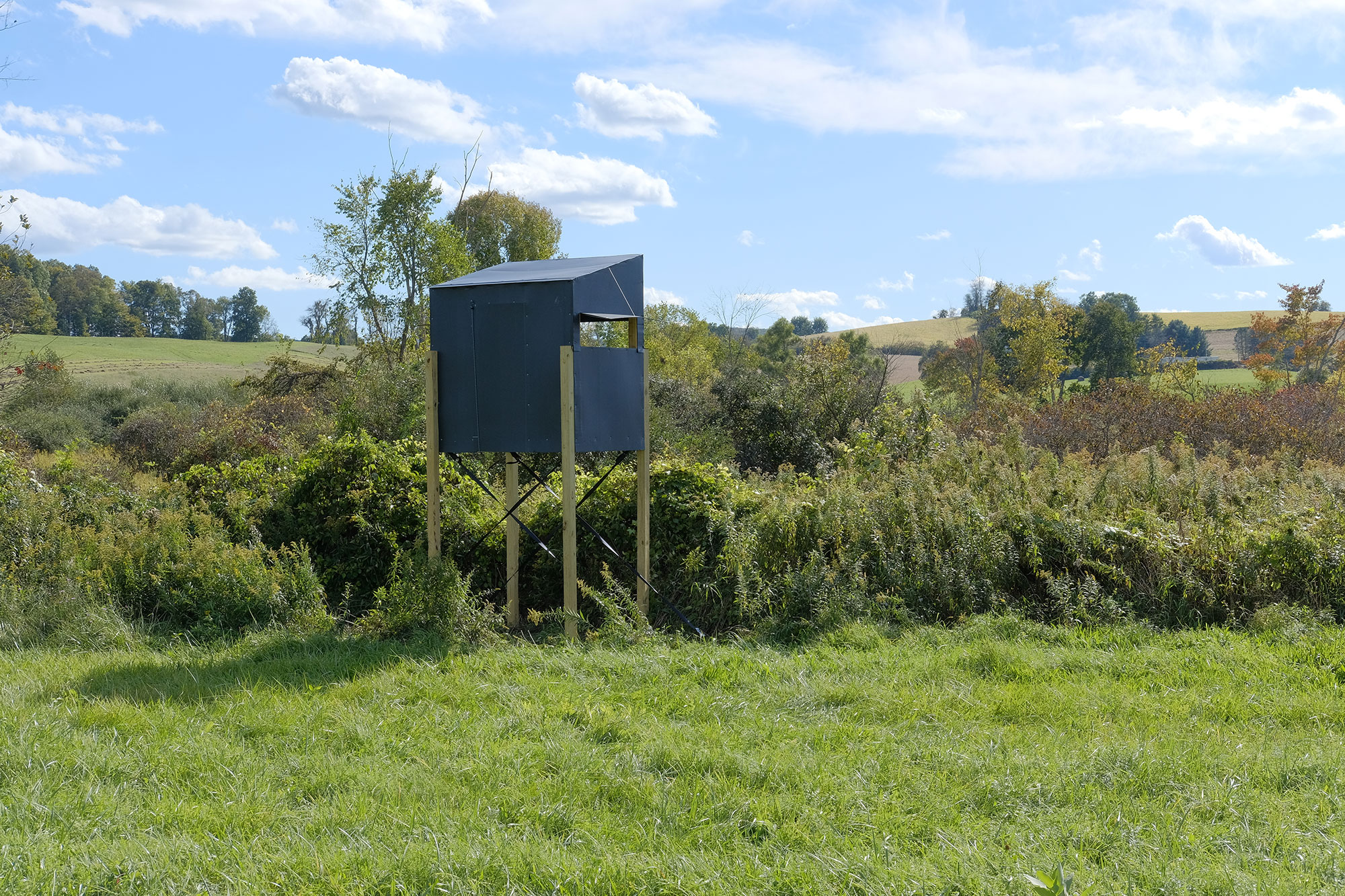 DJ Stand: Build a Customized, Portable, Elevated Deer Hunting Blind for About $500