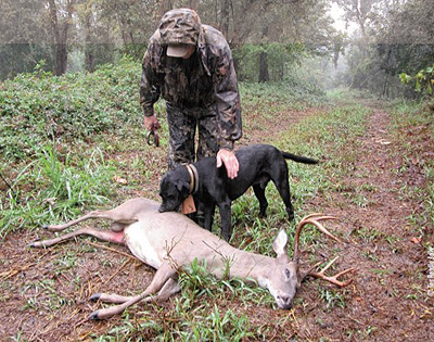 Bow-killed deer recovered with the aid of a tracking dog will now be accepted for inclusion in the record books. 