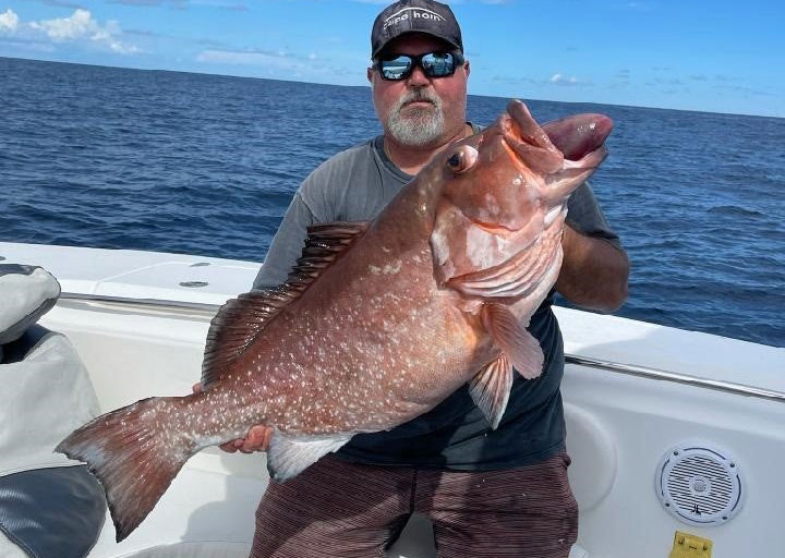 Georgia Red Grouper Shatters State Record