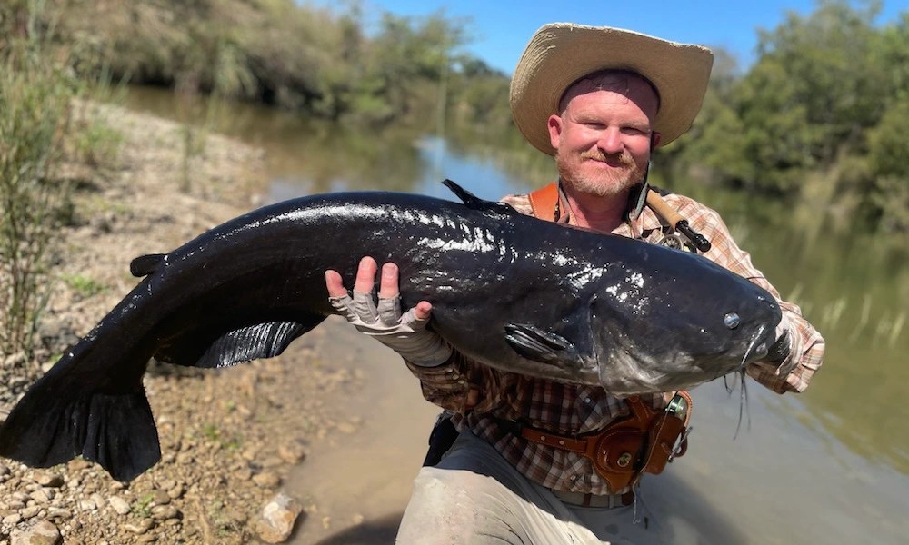 This record blue cat was caught in Texas.