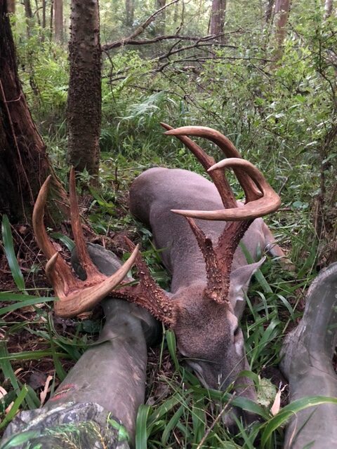 Smith's buck had both great symmetry and mass.