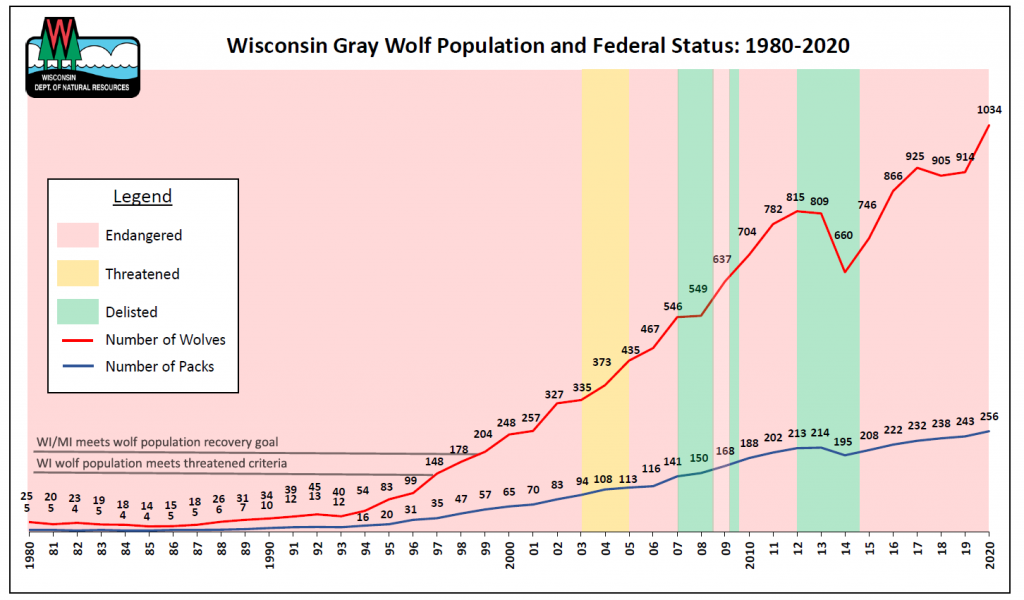 Wisconsin wolf populations have far exceeded recovery goals.