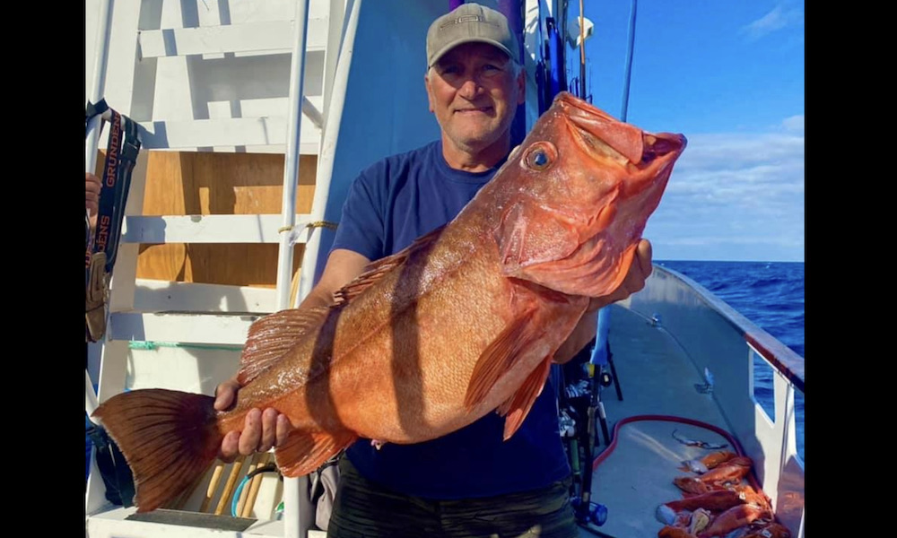 Rob Tressler's rockfish would almost assuredly have been a new state record. 