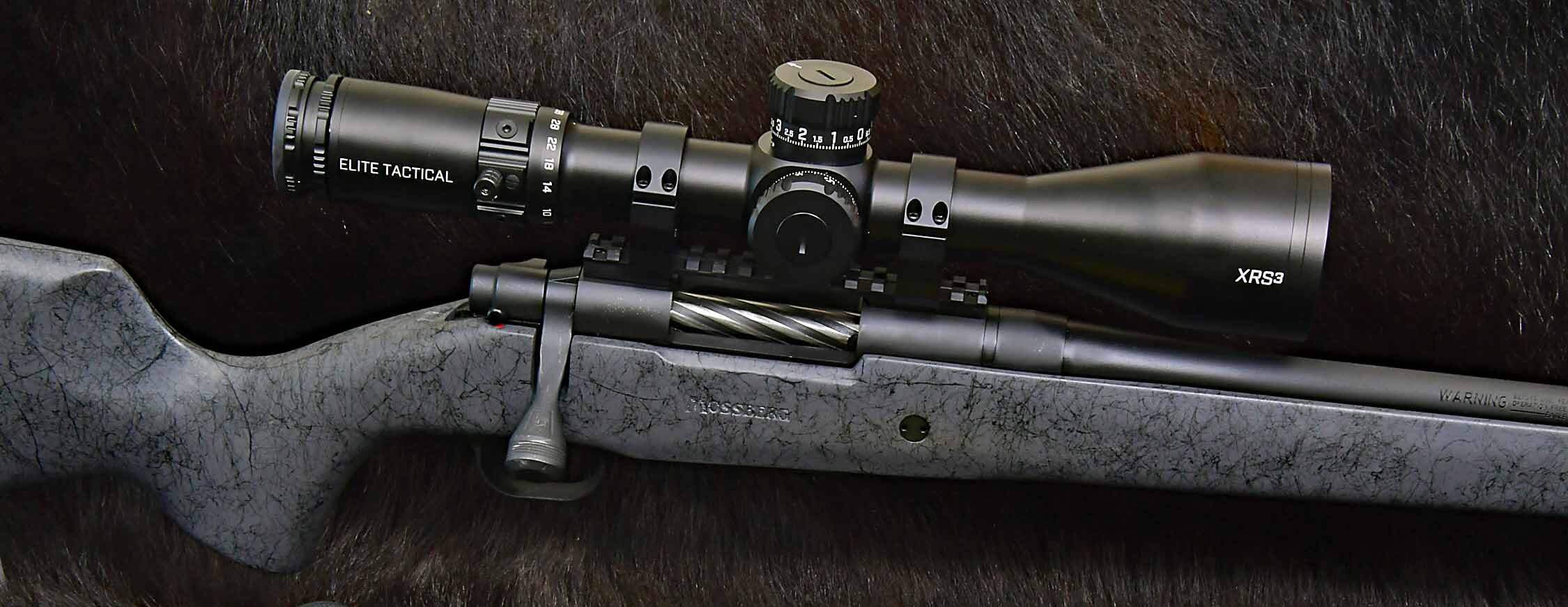 Mossberg Patriot and Bushnell Scope