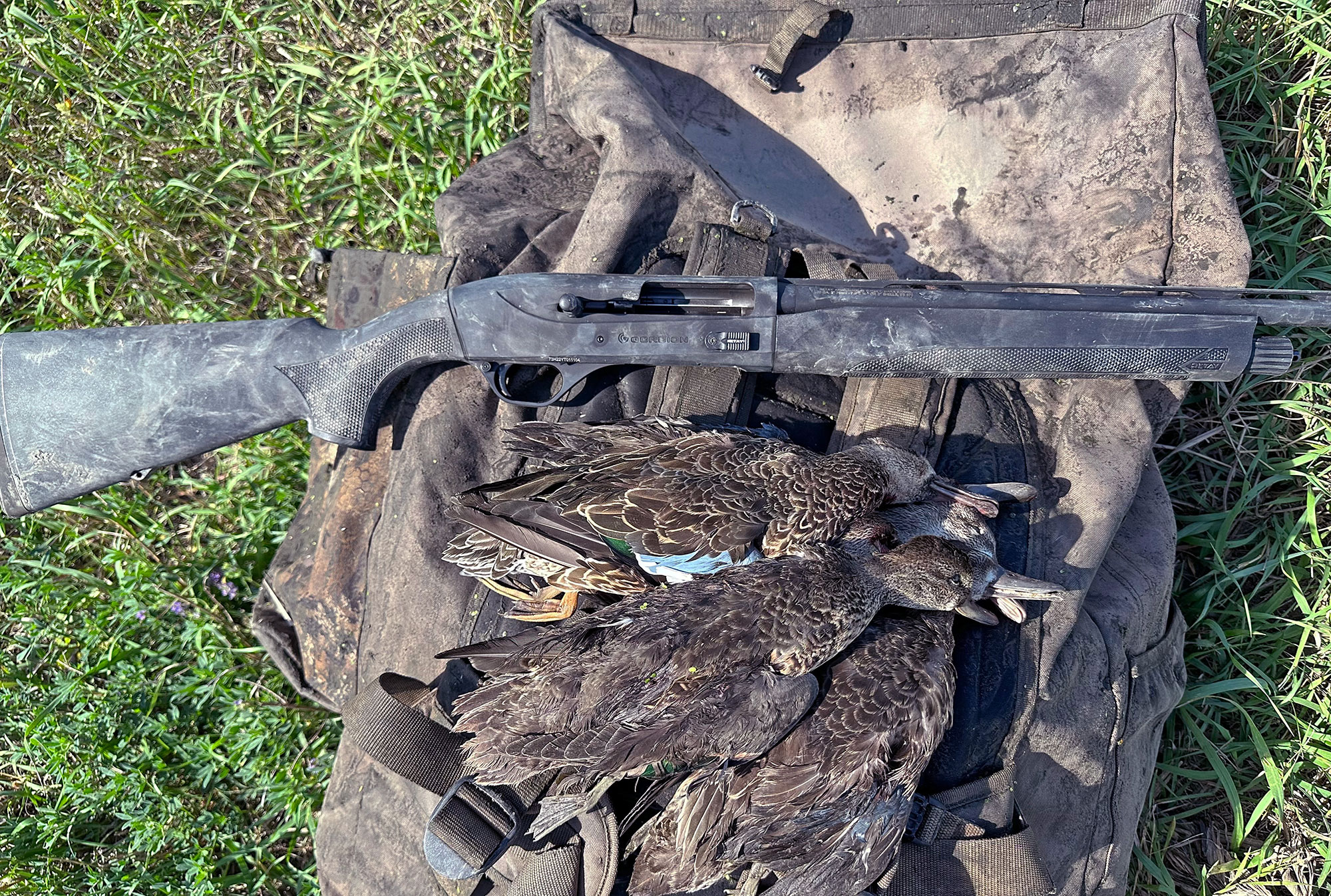 best duck hunting shotguns