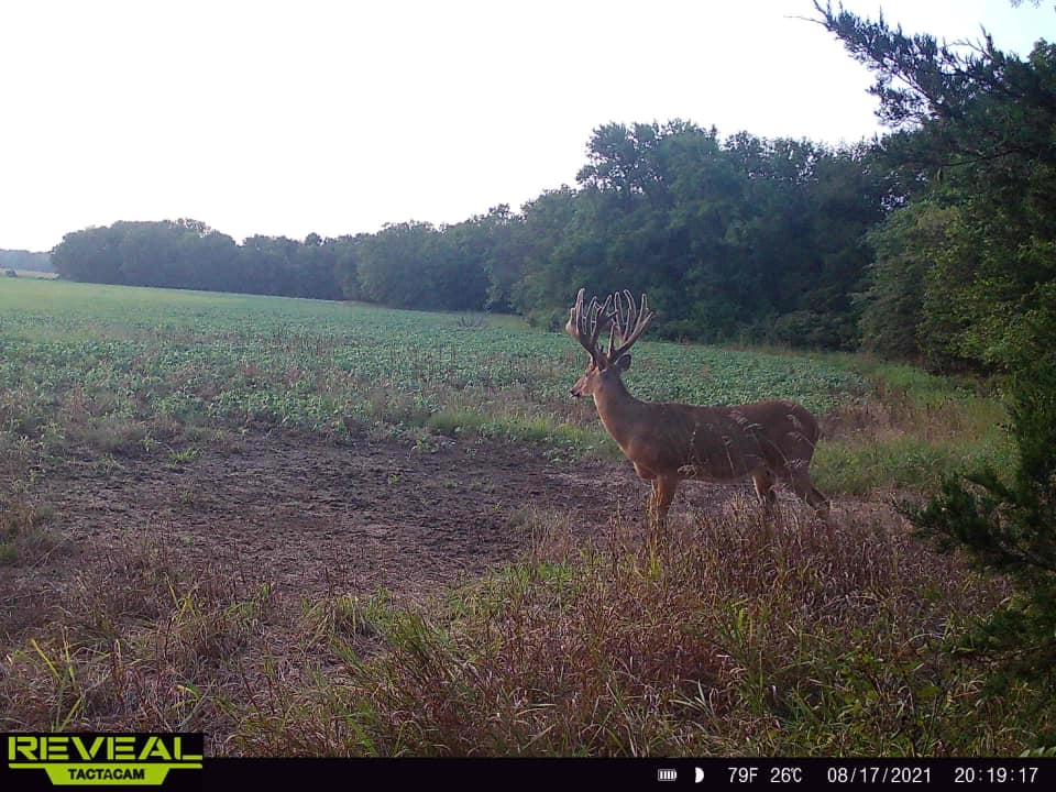 Trail camera photos helped lead the way to Marc Somers first bow deer ever. 