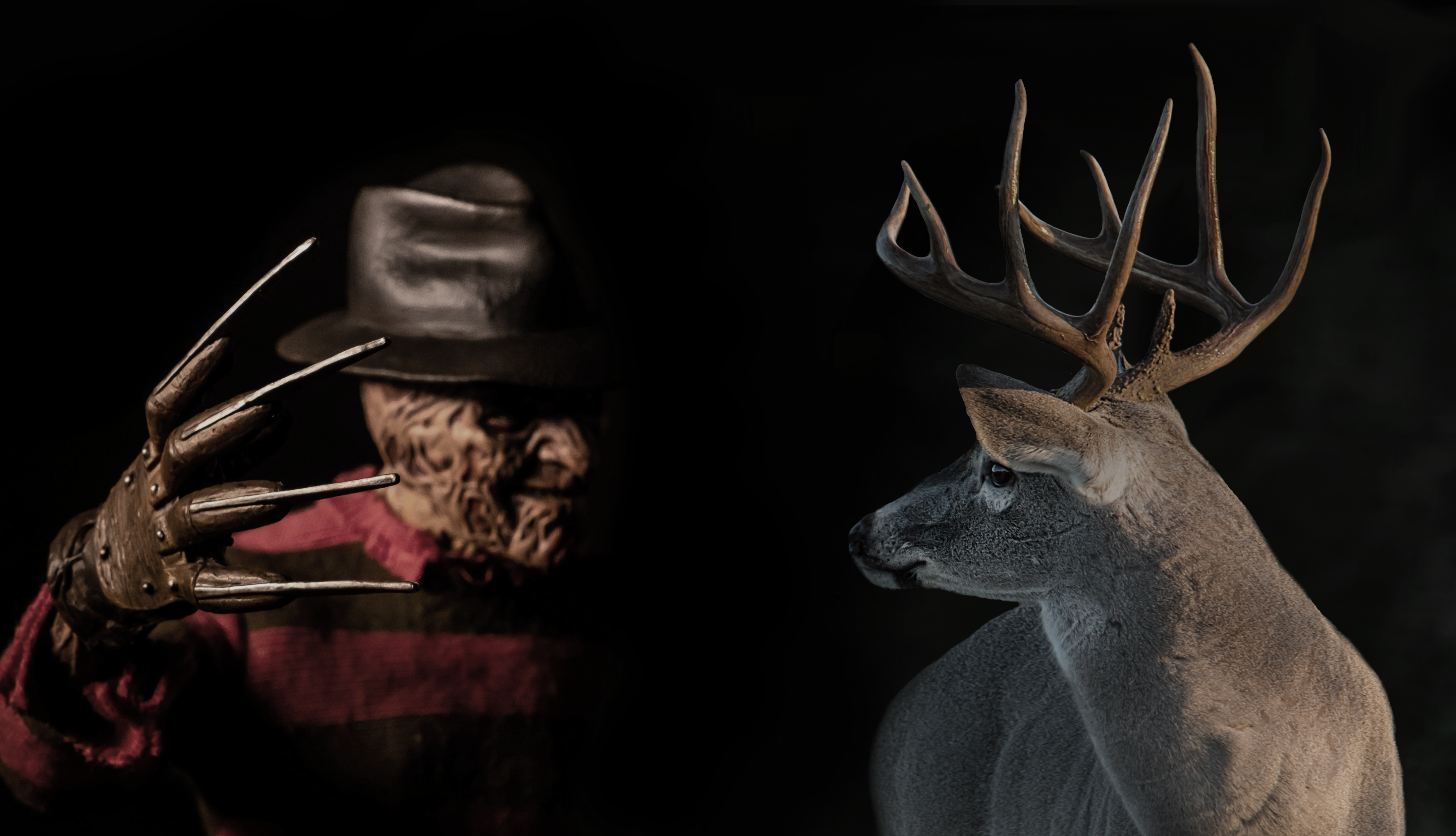 Freddy Krueger and a whitetail buck are facing off in a hunter's worst nightmare.