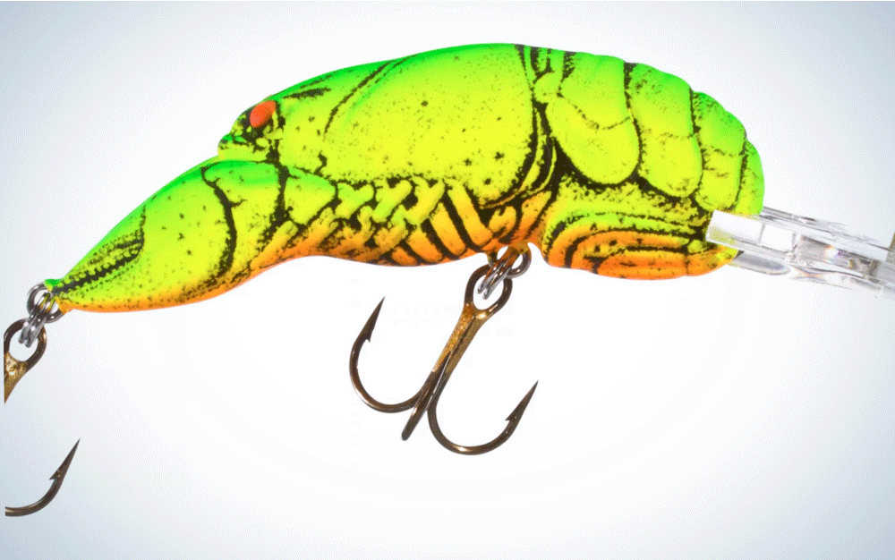 Rebel Crawfish is the best smallmouth bass lure.