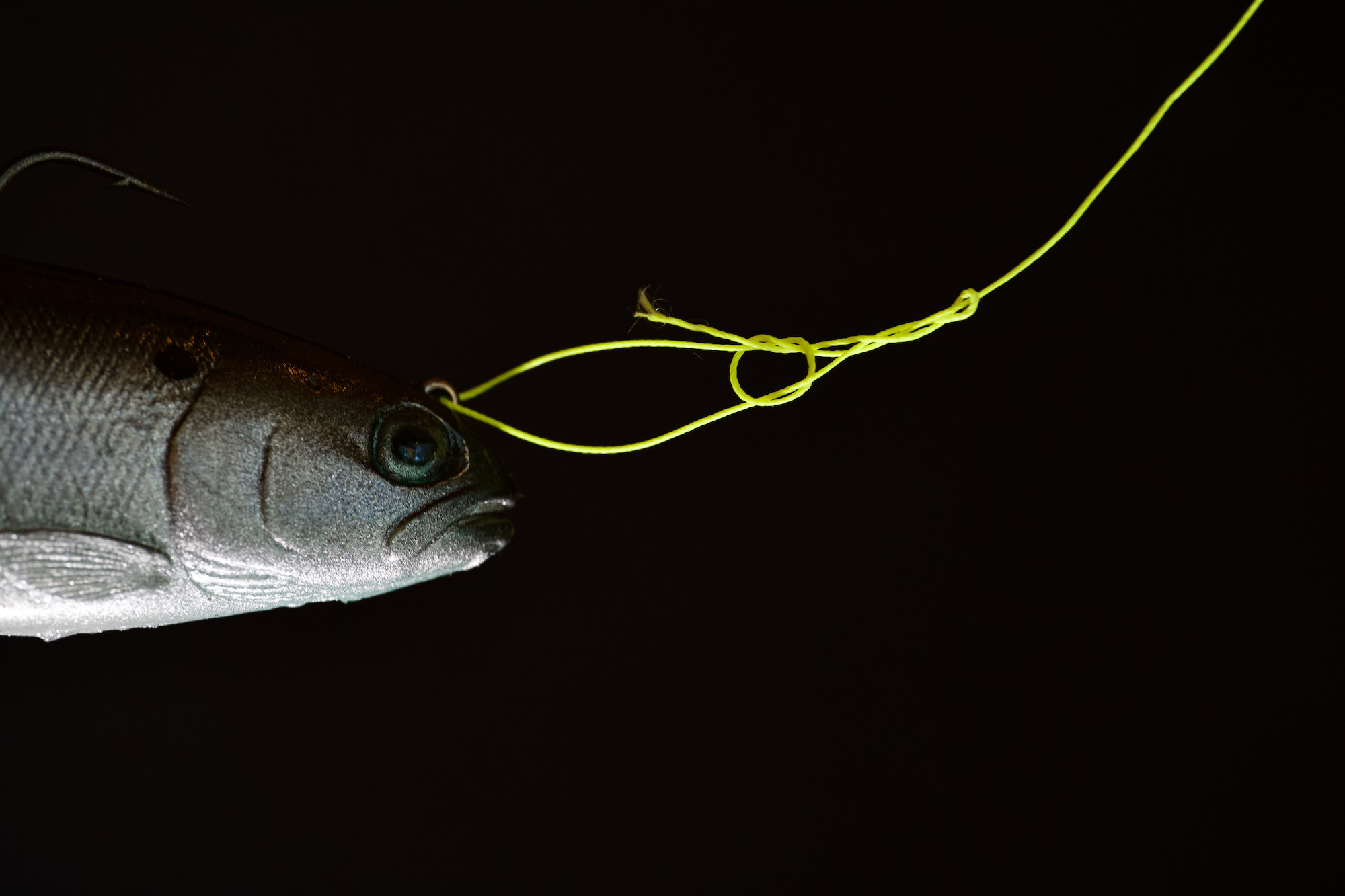 A fish and a knotted fishing line on a black backdrop