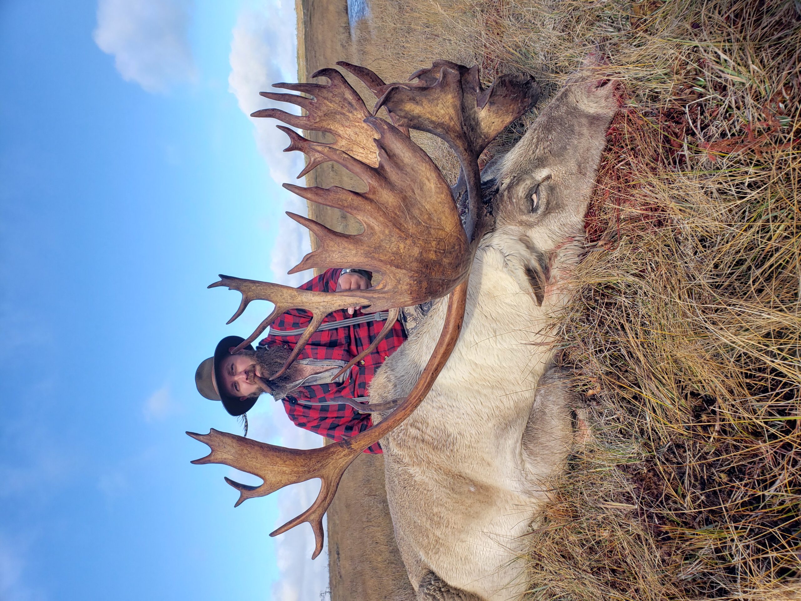 Jeff Hubbard's giant Woodland Caribou