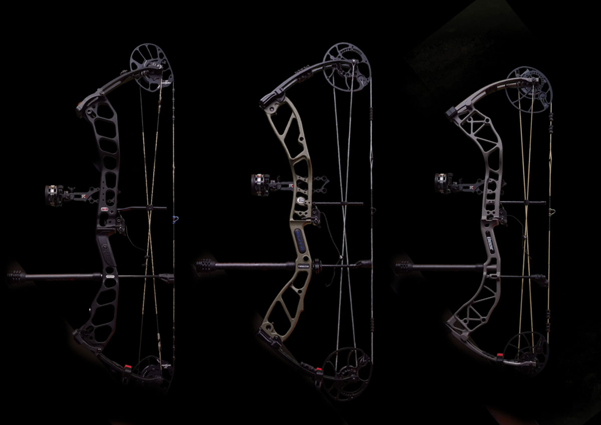 The best bows for the money
