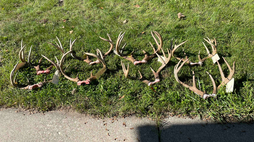 Michigan Man Charged With Poaching Nine Bucks Faces $60,000 Fine