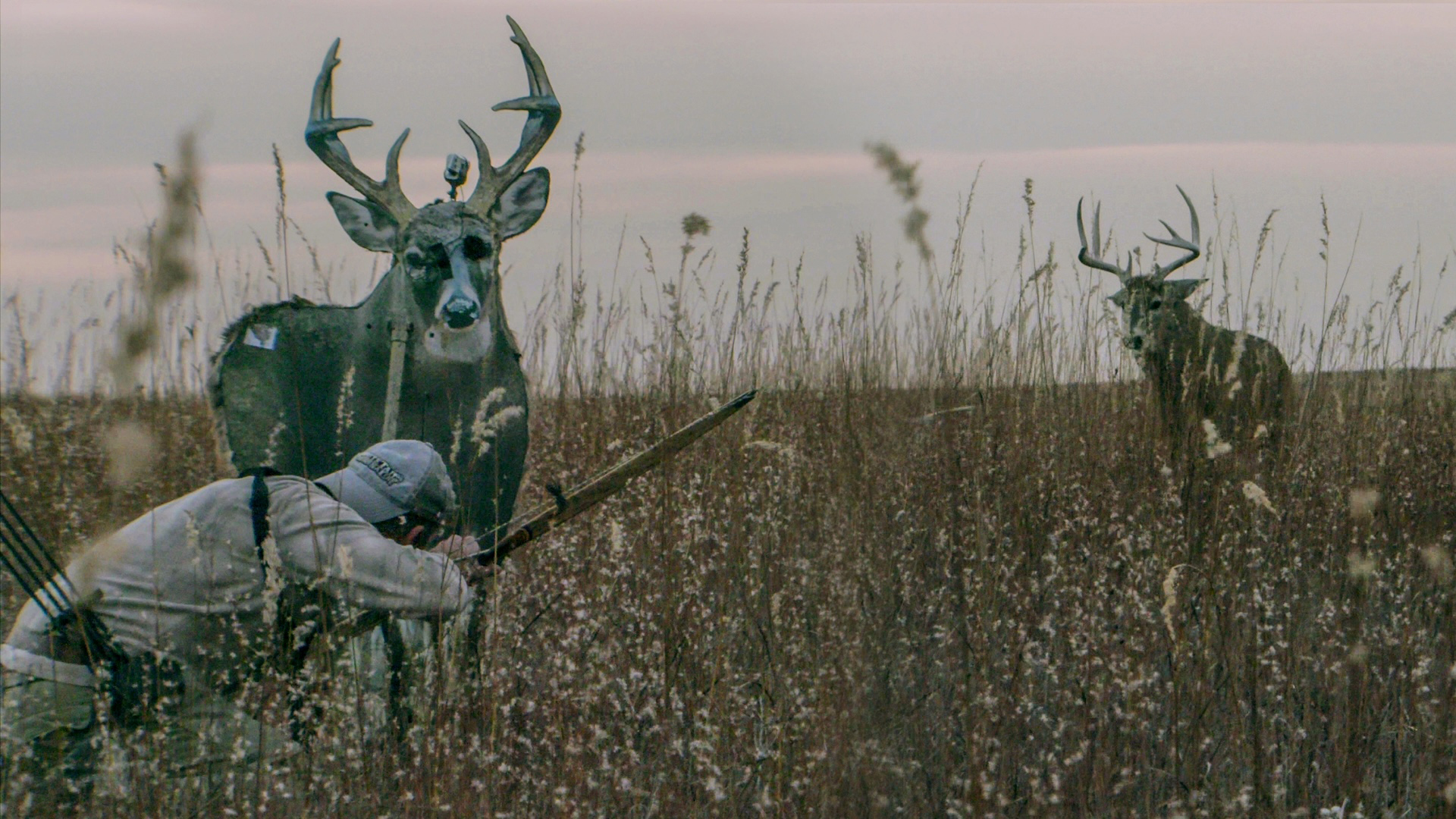 Whitetail Adrenaline showcases spot-and-stalk tactics for whitetails on public land.