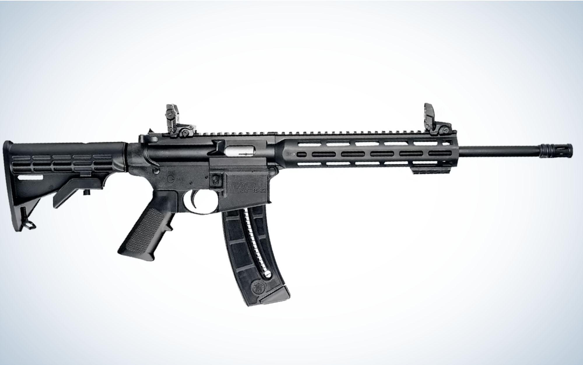 The Smith & Wesson M&P 15-22 Sport is the best AR-style rimfire.