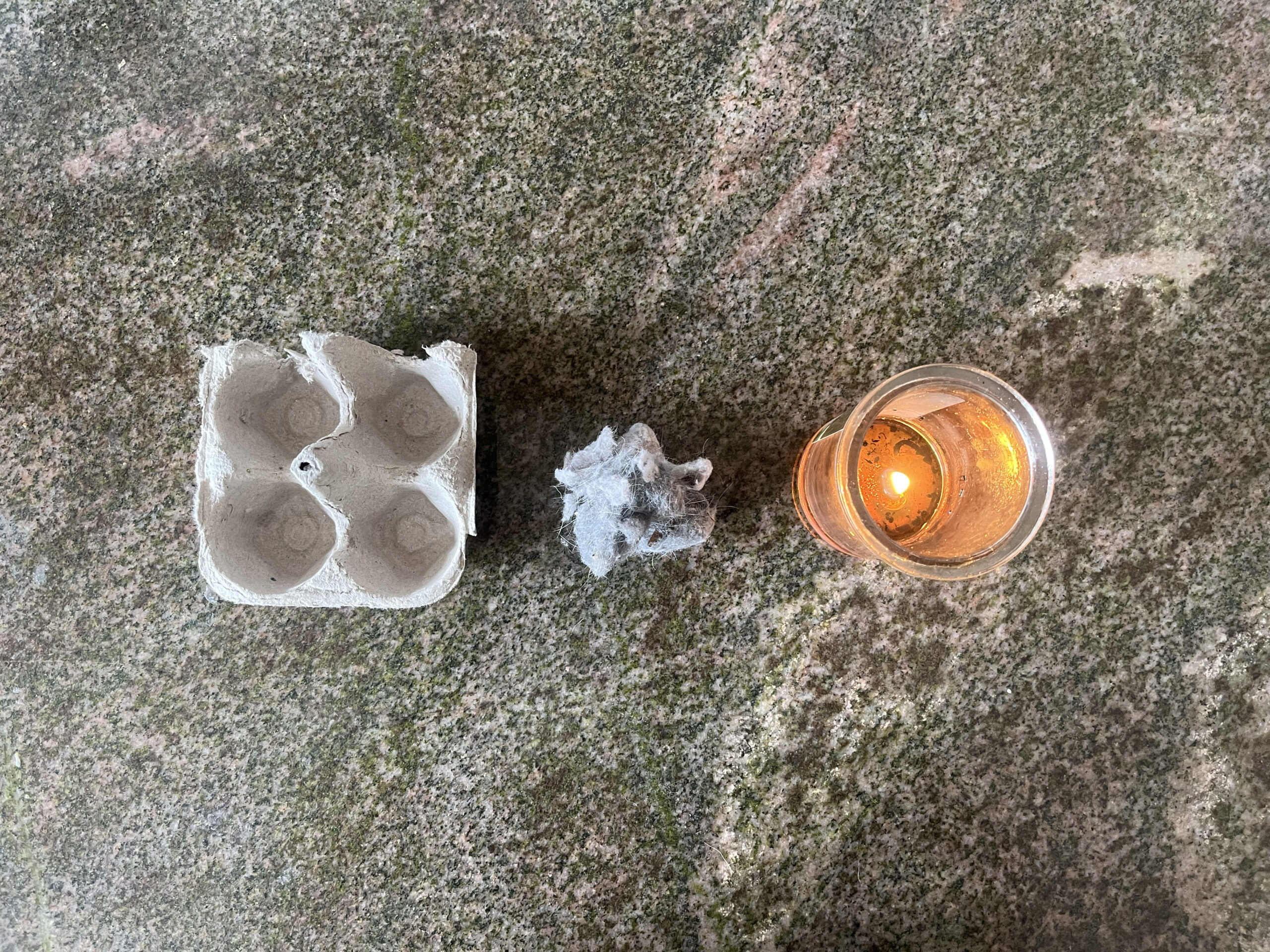 The DIY fire starter supplies are an egg carton, lint, and leftover candle wax.