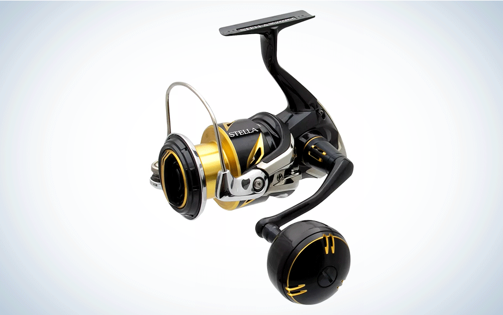 The Shimano Stella is the best fishing gift