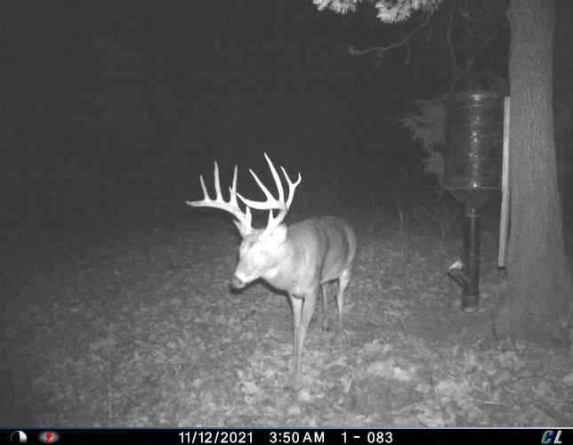Missouri Deer Hunter Shoots a 170-Class Buck on a Small 40-Acre Farm