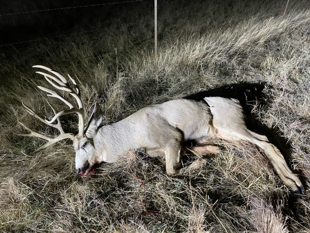 The great muley dropped on the spot.