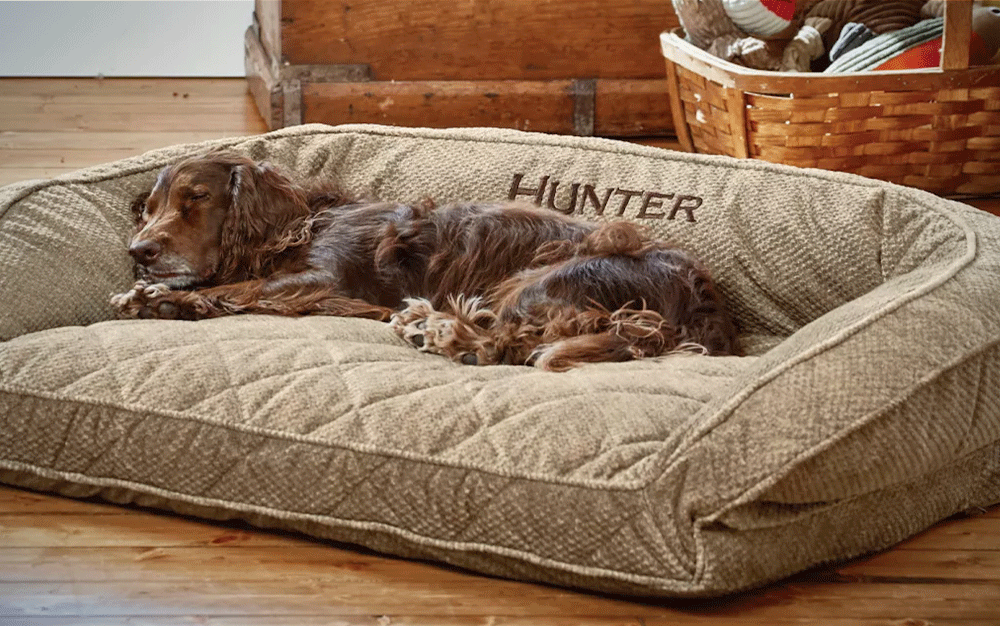 Orvis comfort fill is the best dog bed.