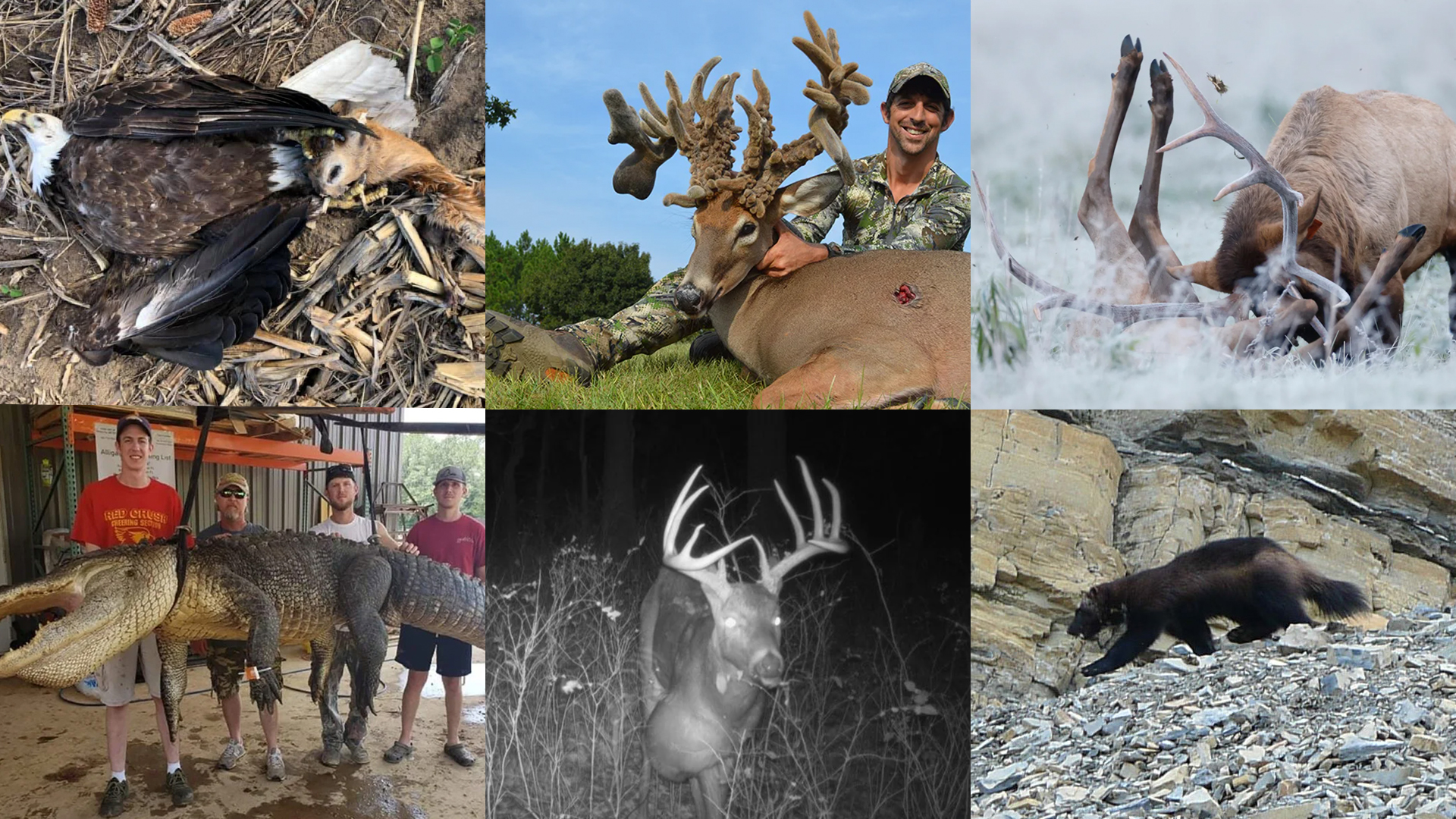The weirdest stories of 2021 for hunting, fishing, and conservation.