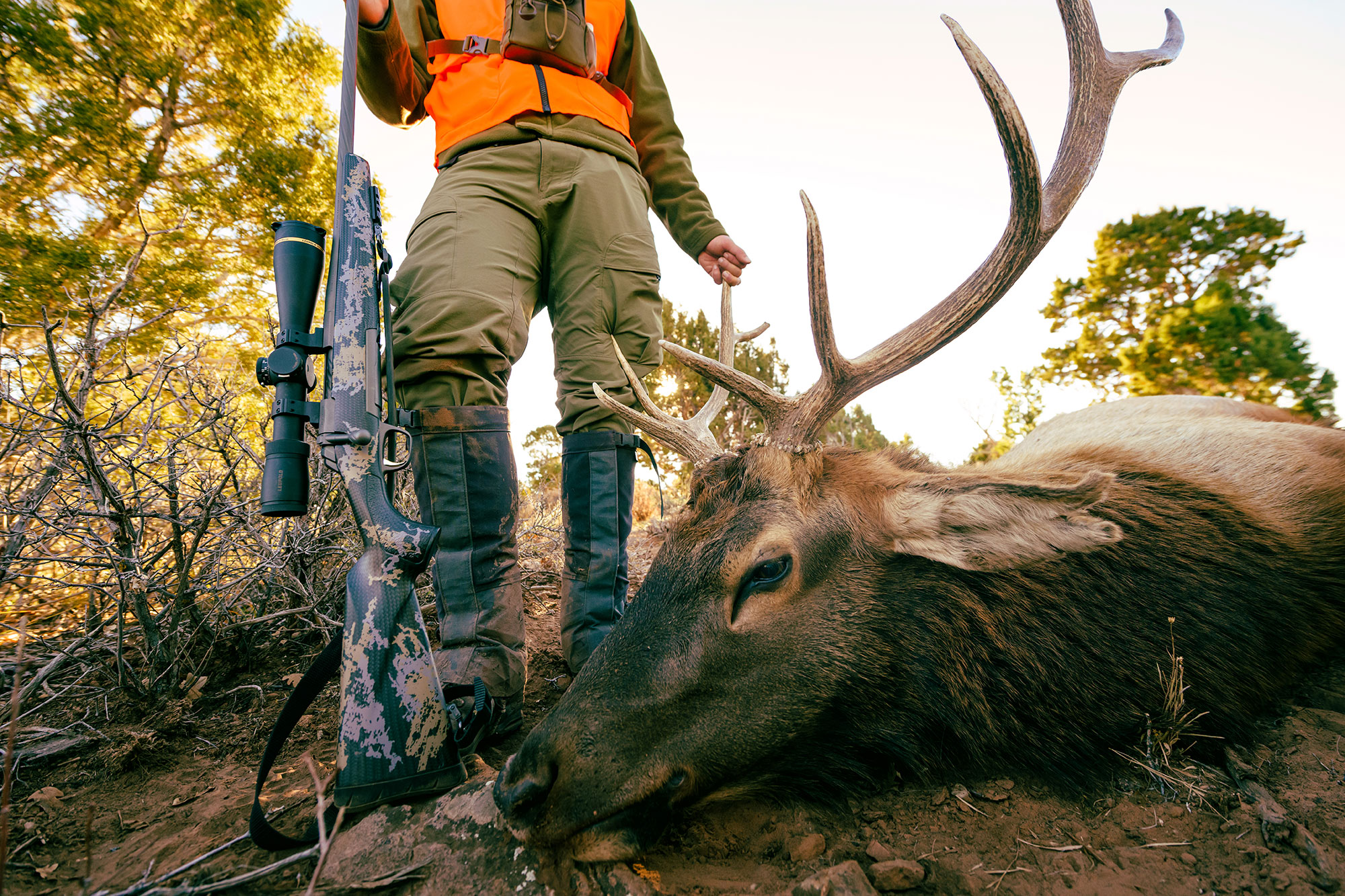 The Best Elk Hunting Rifles of 2023
